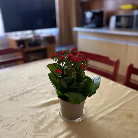 Bella Casa Economy - Skibowa, Close To Bielany فروتسواف