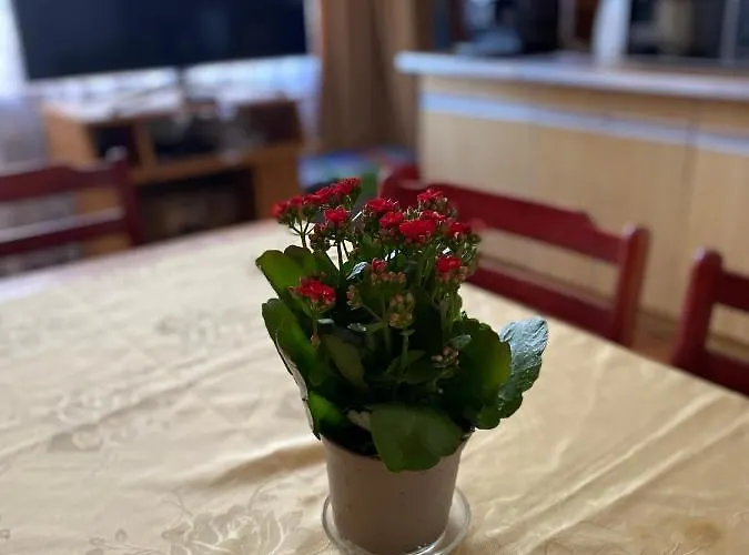 Bella Casa Economy - Skibowa, Close To Bielany Wroclaw